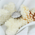 Snh Hot Sale Shell Shape Pearl Jewelry Pendant